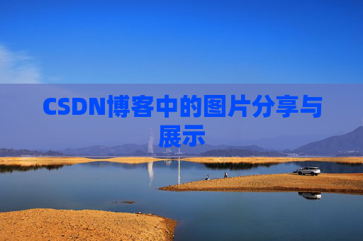 CSDN博客中的图片分享与展示